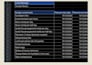 creating a proffessional budget and expenses tracker